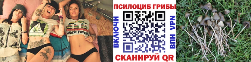 Псилоцибиновые грибы MAGIC MUSHROOMS гидра ТОР Пустошка